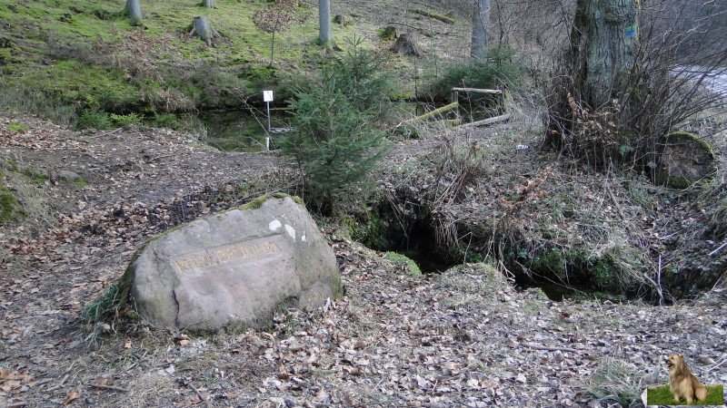 Ritterstein Nr. 099-03 Kohlbrunnen.JPG - Ritterstein Nr.99  Kohlbrunnen                               